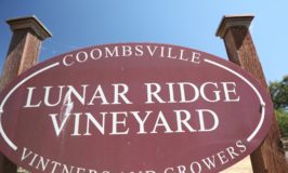 Lunar Ridge Wine