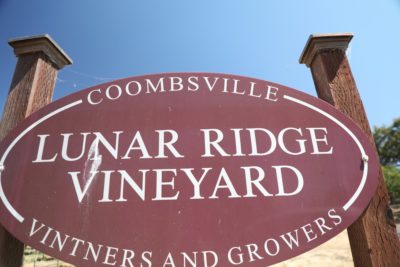 Lunar Ridge Wine