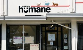 Napa Valley’s ‘Real Cat Men’ Unveil 2027 Calendar to Benefit Jameson Humane